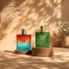 The Rayhaan Vibe Duo
