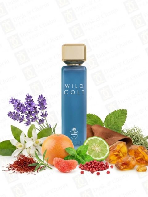 Assaf Wild Colt