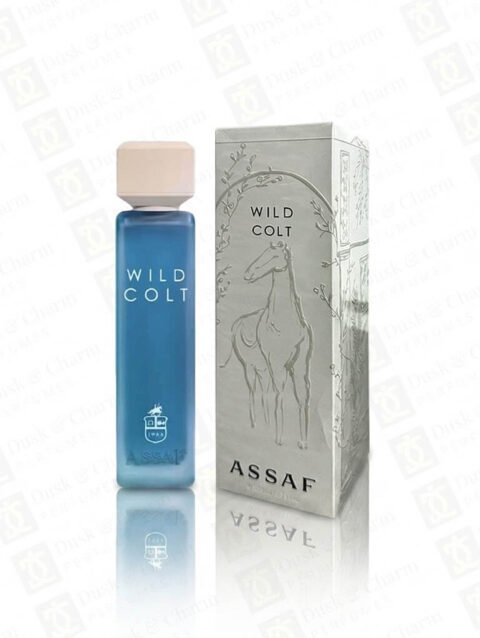 Assaf Wild Colt