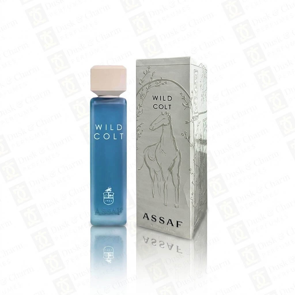 Assaf Wild Colt